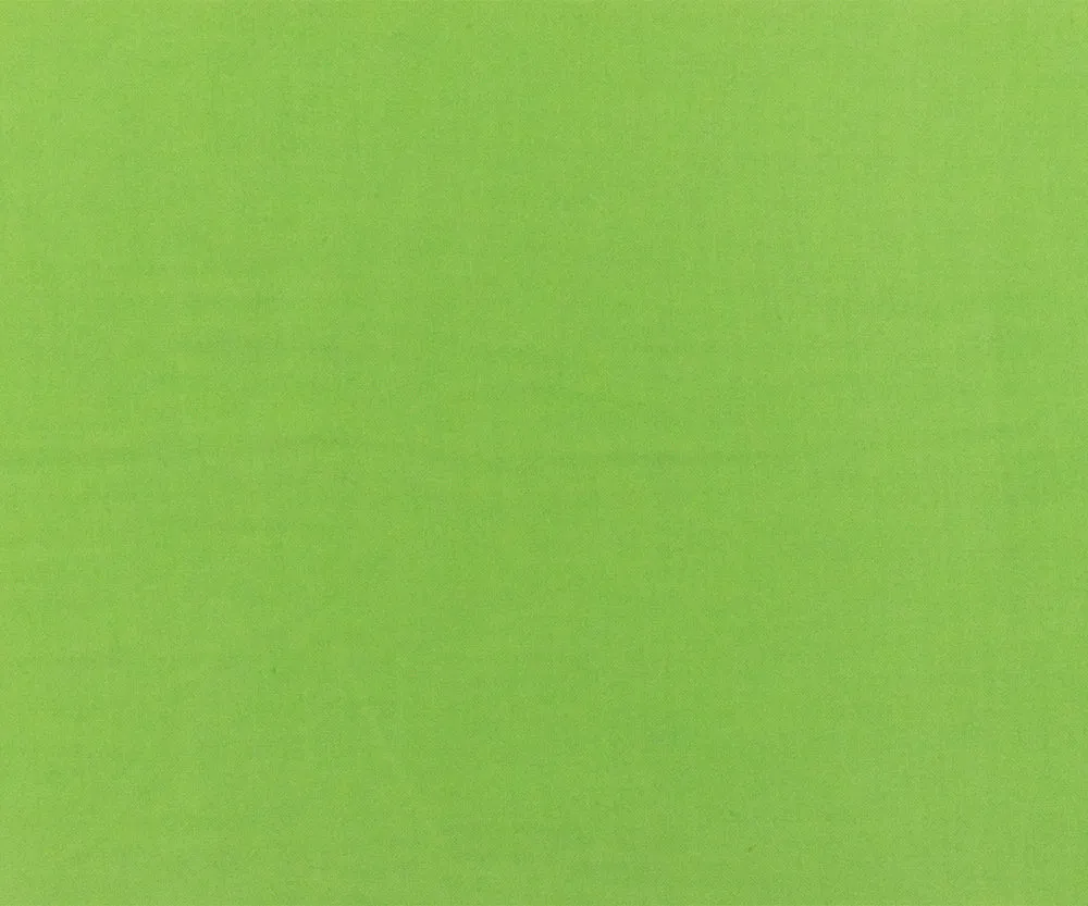 Green Rayon Challis Solid Woven Fabric